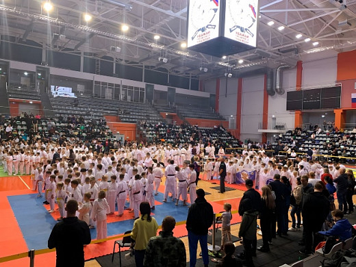 Около 500 каратистов стали участниками Чемпионата и Первенства Ивановской области